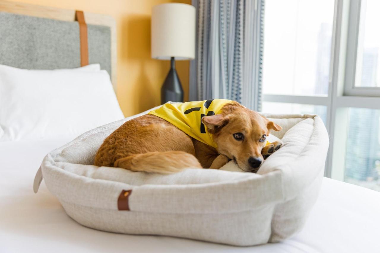Апарт отель Sentral Michigan Avenue Чикаго Экстерьер фото A dog in a dog bed